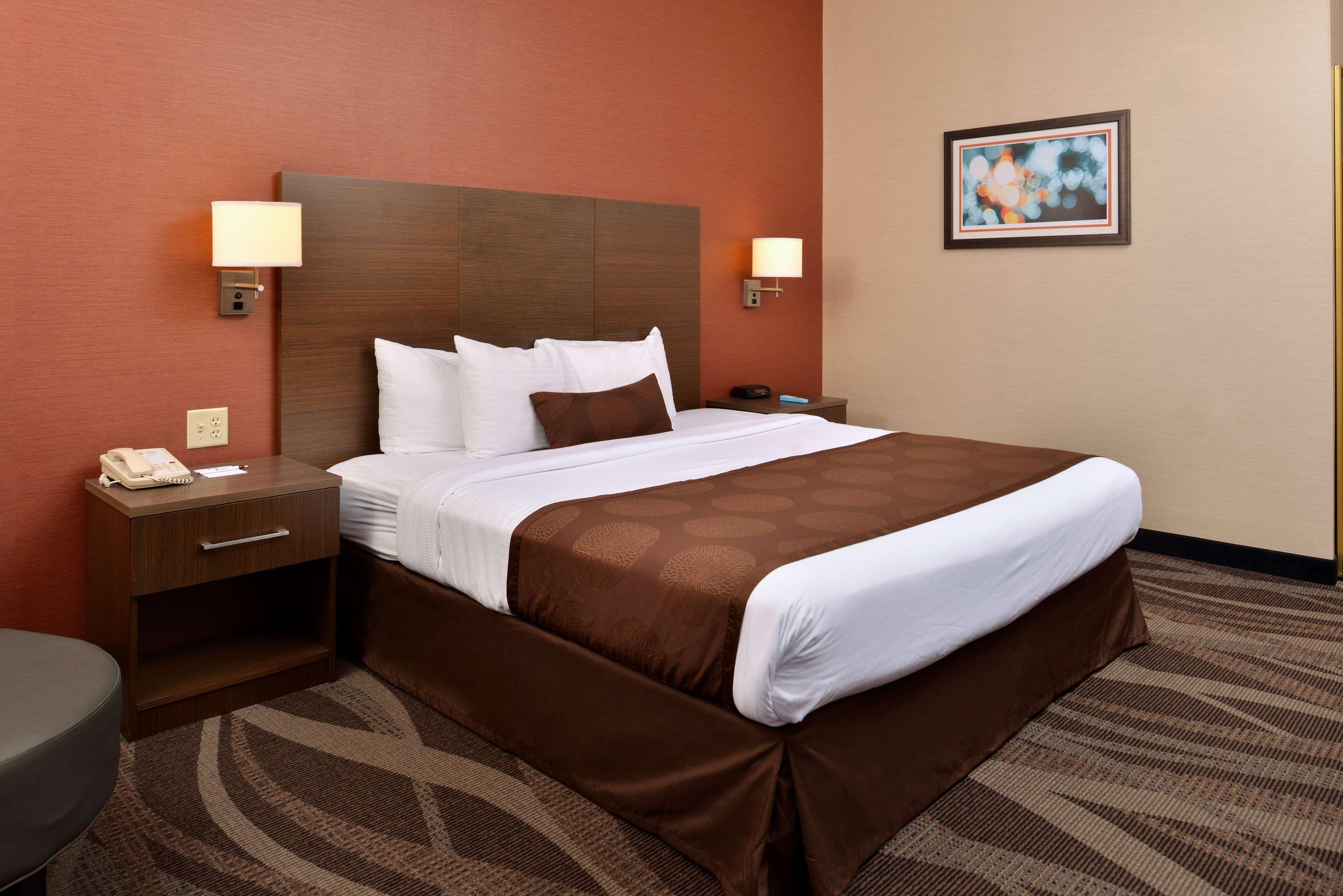 Best Western Plus University Inn Olean Dış mekan fotoğraf